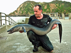 Mark with a 43lb shore caught conger eel